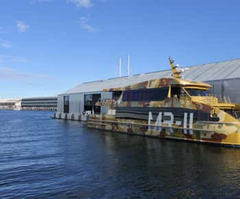 Hobart: Tagesausflug zum Mt. Wellington und MONA mit Fährenfahrt