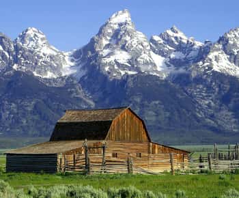 From Jackson: Half-Day Grand Teton National Park Tour