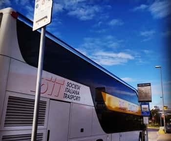 Rome: Civitavecchia Port to/from Vatican City Bus Transfer