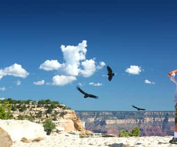 Grand Canyon: Morning Off-Road Safari with Skip the Gate