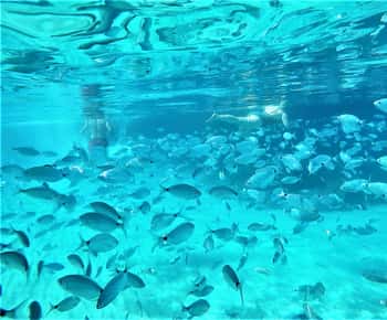 Ibiza: Snorkeling and SUP Paddle, Beach and Cave Tour