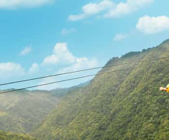 Puerto Rico: The Beast Zipline at Toro Verde Adventure Park