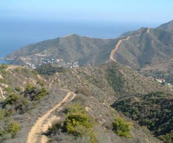 Avalon, Catalina Island: 2-stündige Inside Adventure Tour