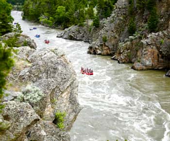 Gardiner: rafting de meio dia no rio Yellowstone