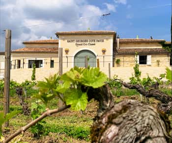 Bordeaux Weinbergstour und Weinverkostung