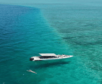 5 Islands Speedboat w/Snorkeling Sea Turtle + Lunch & Drinks