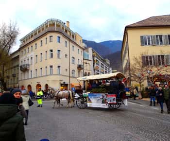 Bozen Privatführung: malerische Stadt Südtirol Dolomiten