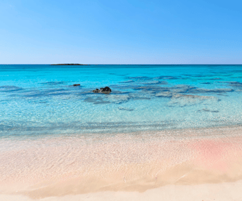 Ab Iraklion: Elafonisi Strand - Tagestour mit Abholung