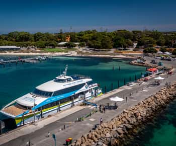 Hillarys Boat Harbour: Rottnest Island Ferry Transfer
