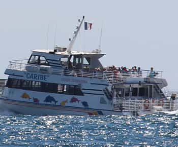 De Cannes: Ingressos para o Ferry para a Ilha de Sainte-Marguerite