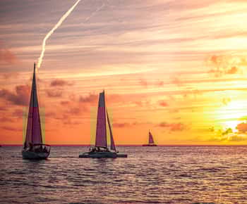 Sunny Beach: Sunset Catamaran Cruise with Dinner & Prosecco