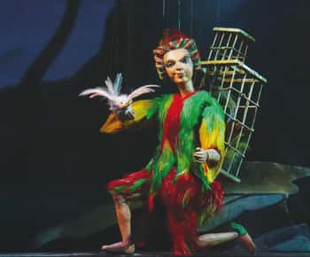 Salisburgo: biglietto per il flauto magico al teatro delle marionette