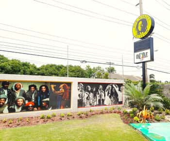 Kingston: Bob Marley Museum Tour from Montego Bay