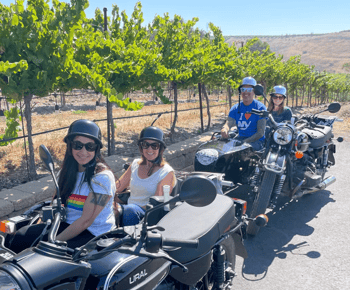 Vale de Napa: passeio panorâmico pelo vinho