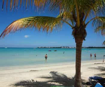 De Montego Bay: Transfer privado do aeroporto MBJ para Negril