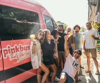 From San Jose: Shuttle from San Jose to La Fortuna