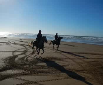 De la Essaouira: Plimbare panoramică cu calul în Diabat cu transfer