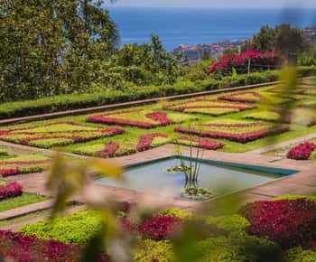 Funchal: Botaniska trädgården och Gamla stan Privat Tuk-Tuk Tour