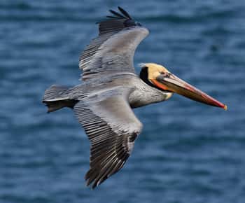 Samaná: Parque Nacional Los Haitises e Ilha Cayo Levantado