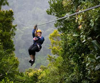 Monteverde: Jungle Zipline & Tarzan Swing with Transfer