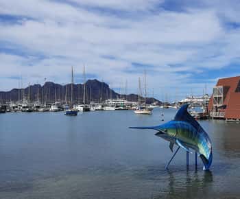 São Vicente: Markets, Beaches and Natural Park Tour