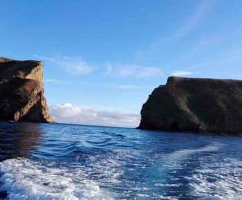 Insel Terceira: Ilhéu das Cabras Bootstour + Schnorcheln