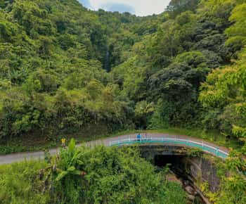 Montego Bay: passeio de bicicleta particular pela Blue Mountain