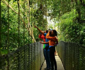 La Fortuna: Hanging Bridges, Arenal Volcano, and Falls Tour