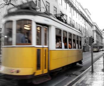 Fra Algarve: Lisboa bytur med shopping
