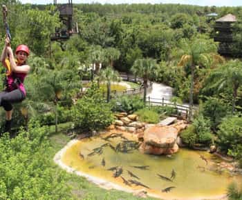 Gatorland Zipline Adventure med heldagstillträde till parken