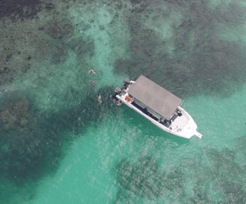 Victoria: St. Anne Marine Park and Cerf Island with Lunch
