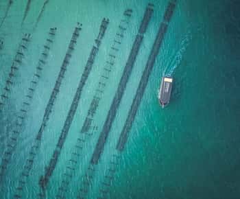 Puerto Lincoln Excursión de un día al marisco, el vino y la naturaleza de Coffin Bay