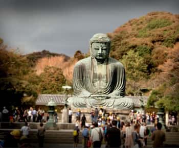 Da Tokyo: tour privato personalizzato di Kamakura in furgone di lusso