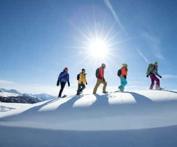 Parque Nacional de Banff: Experiência de raquetes de neve em Sunshine Meadows