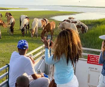 Chincoteague: Assateague Island Sunset Boat Cruise