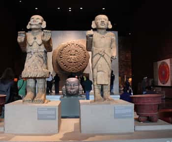 Acceso sin colas al Museo de Antropología