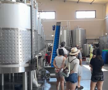 Albufeira: Visita Guiada à Costa do Algarve com Prova de Vinhos