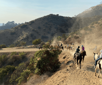 Los Angeles: Mulholland Trail Reittour