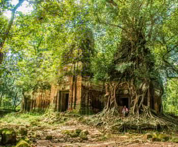 Prasat Thom, Koh Ker Group & Beng Mealea Full-Day Tour
