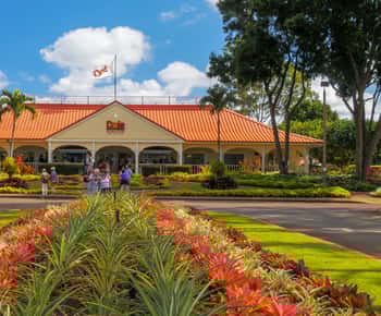 Oahu: Oahu Ultimate Grand Circle Island Tour