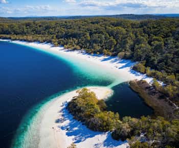 From Rainbow Beach: K'gari Fraser Island Full-Day Coach Tour