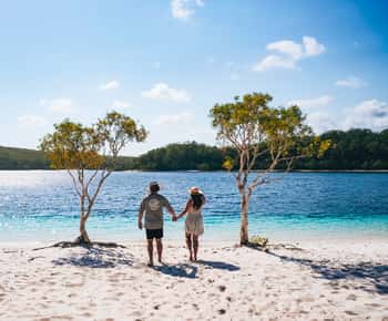 From Hervey Bay: K'gari, Fraser Island Full-Day Coach Tour
