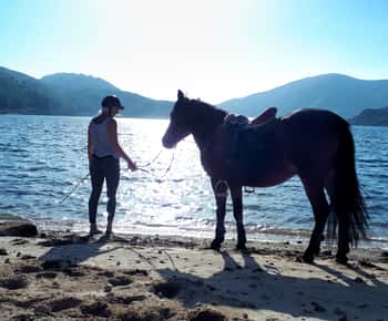 Gerês Braga: Passeio a cavalo no Parque Nacional da Peneda Gerês