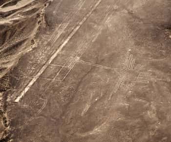 Desde Pisco o Paracas: Vuelo Líneas de Nazca