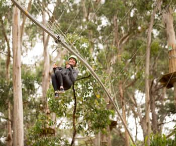 Live Wire Park Ticket with Zip Line Rollercoaster