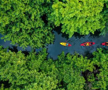 Mauritius: Guidad kajak tur på Tamarin River