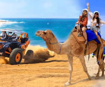 Cabo San Lucas: Kamelenrit & Off-Road UTV Combo Avontuur