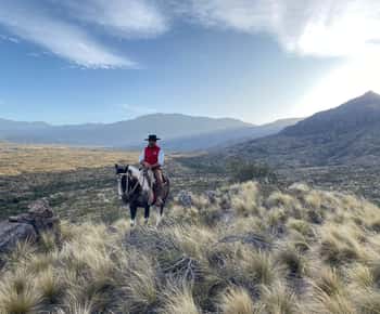 Mendoza : Randonnée à cheval dans les Andes avec barbecue authentique