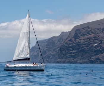 Los Gigantes: Sailing Excursion with Swimming, Drink & Tapas