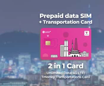 Flughafen Incheon: Traveler SIM & T-money Transportkarte